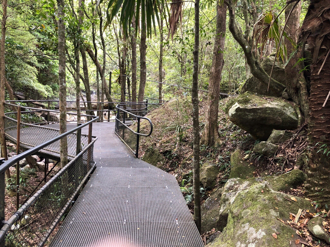 Minnamurra Rain Forest Centre景点图片