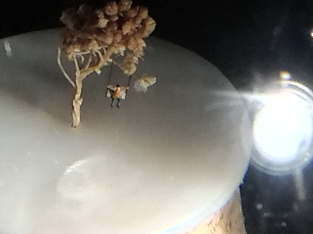 Micro Miniature Museum