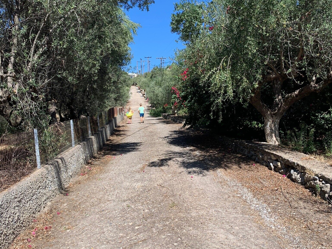 Cavo Grosso Bungalows主图