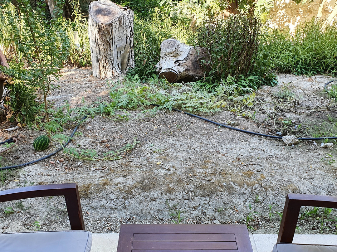 Ayii Anargyri Natural Healing Spa Resort主图