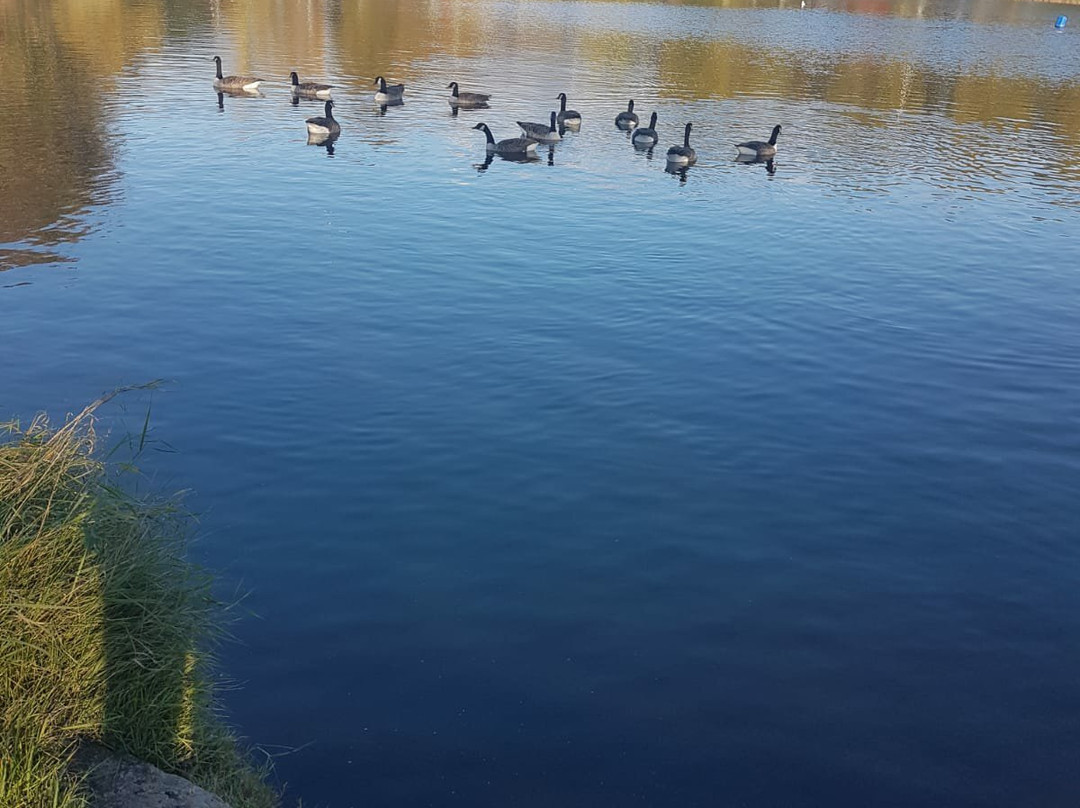 Nantwich Lake-Nantwich必去景点