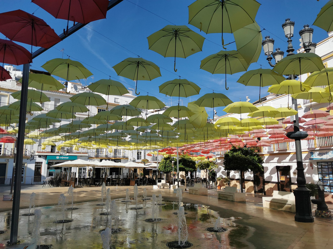 Plaza De La Constitucion景点图片
