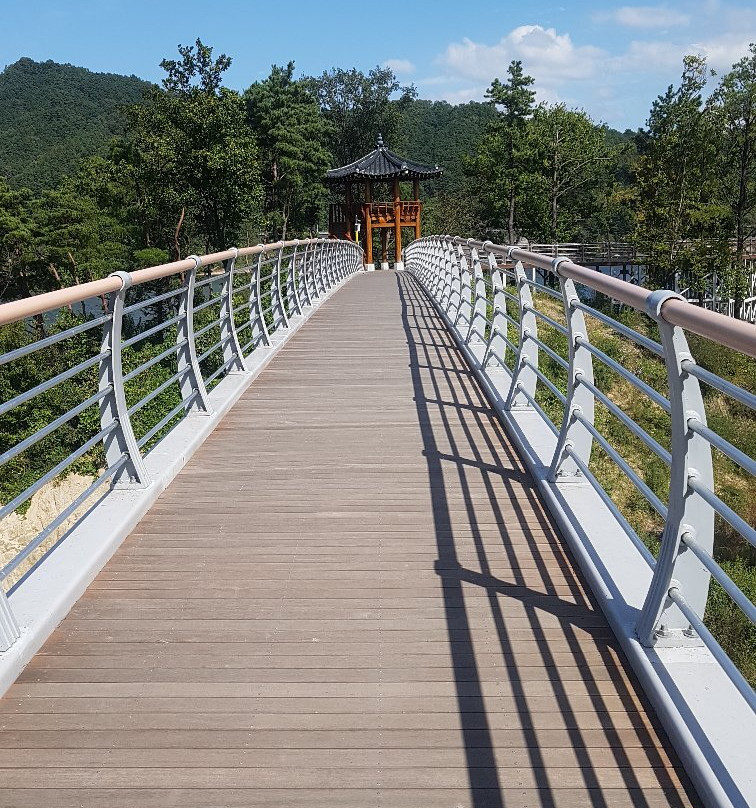 Buhang Dam Suspension Bridge景点图片