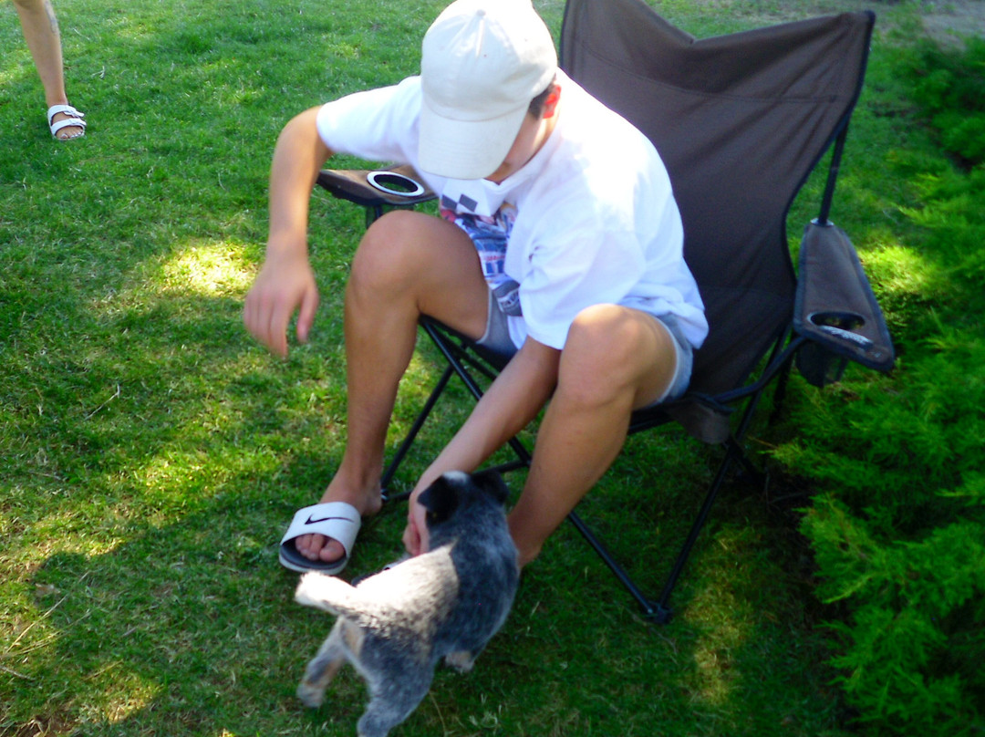 Edgewater Motel主图