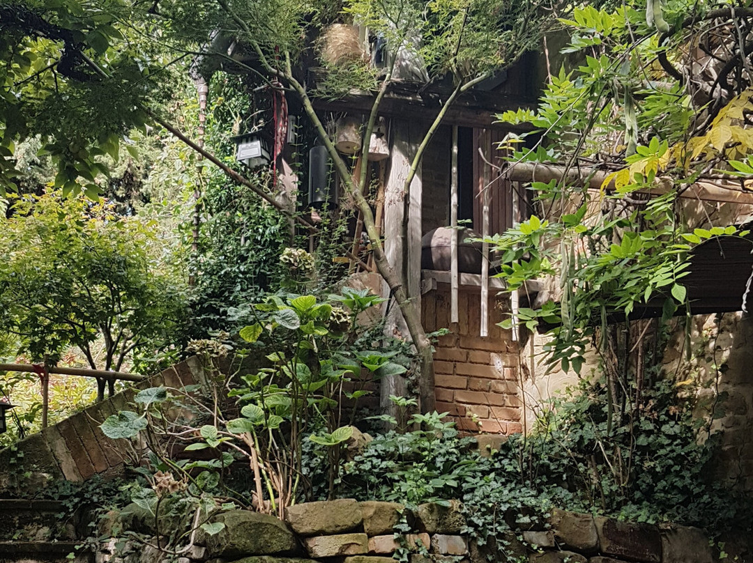 Bio-Ryokan Wabisabi主图