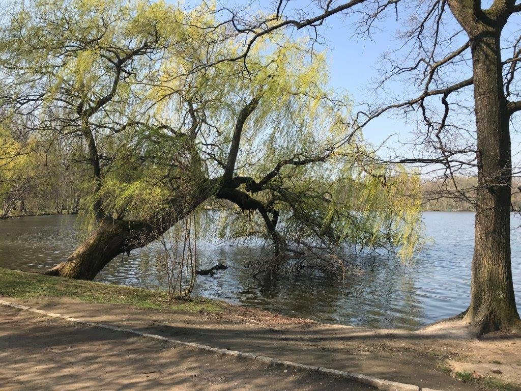 Schwanenteichpark-Zwickau必去景点