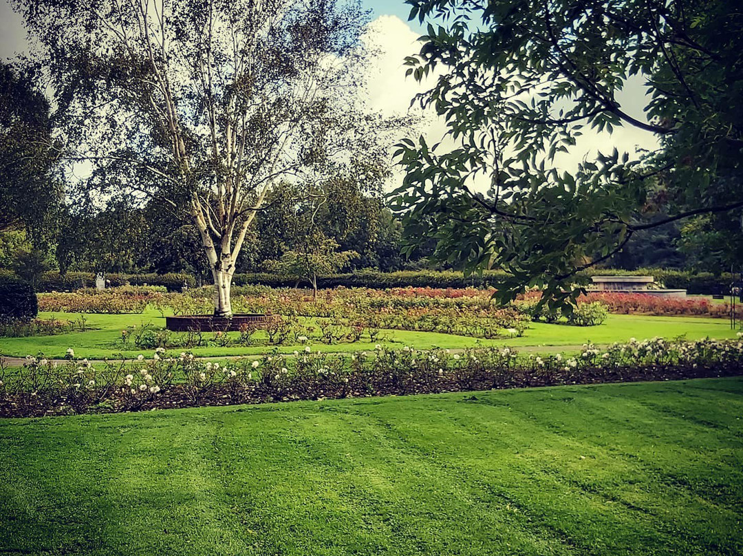 Tralee Town Park-特拉利必去景点