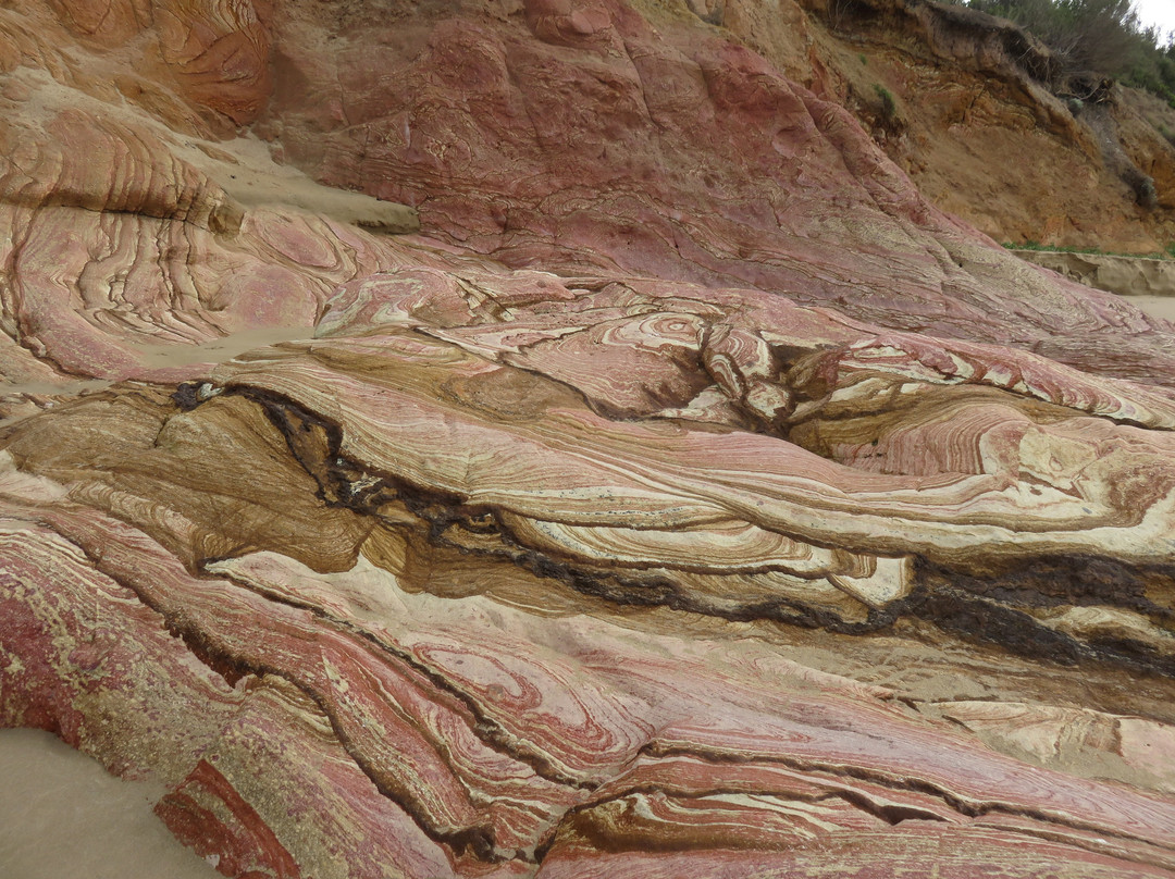 Urquhart Bluff-Aireys Inlet必去景点