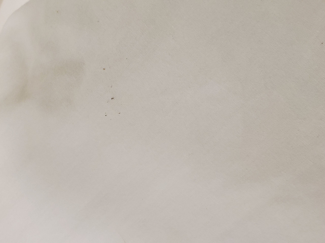 Catalina Court主图