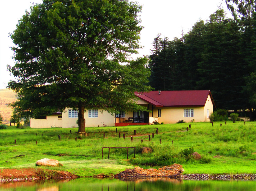 Kamberg Mountain Shadows主图