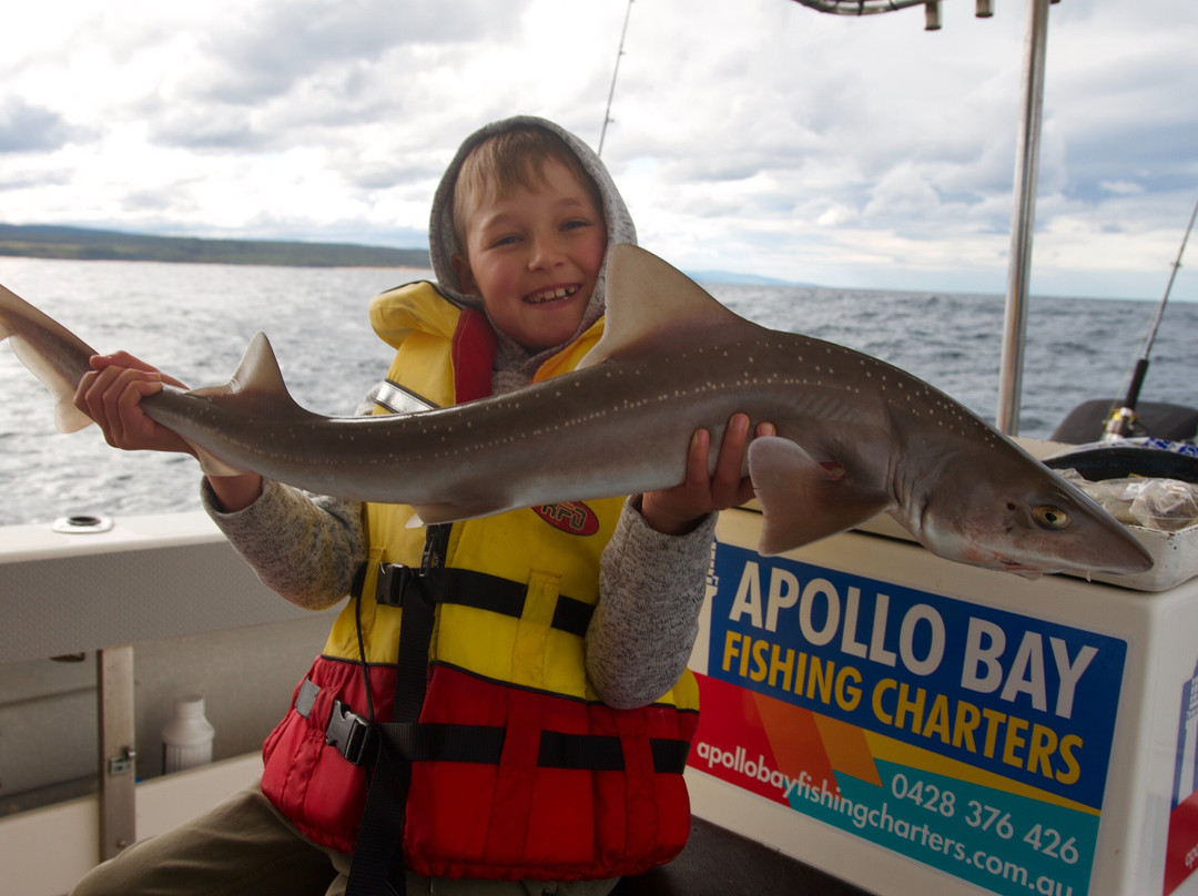 Apollo Bay Fishing Charters景点图片