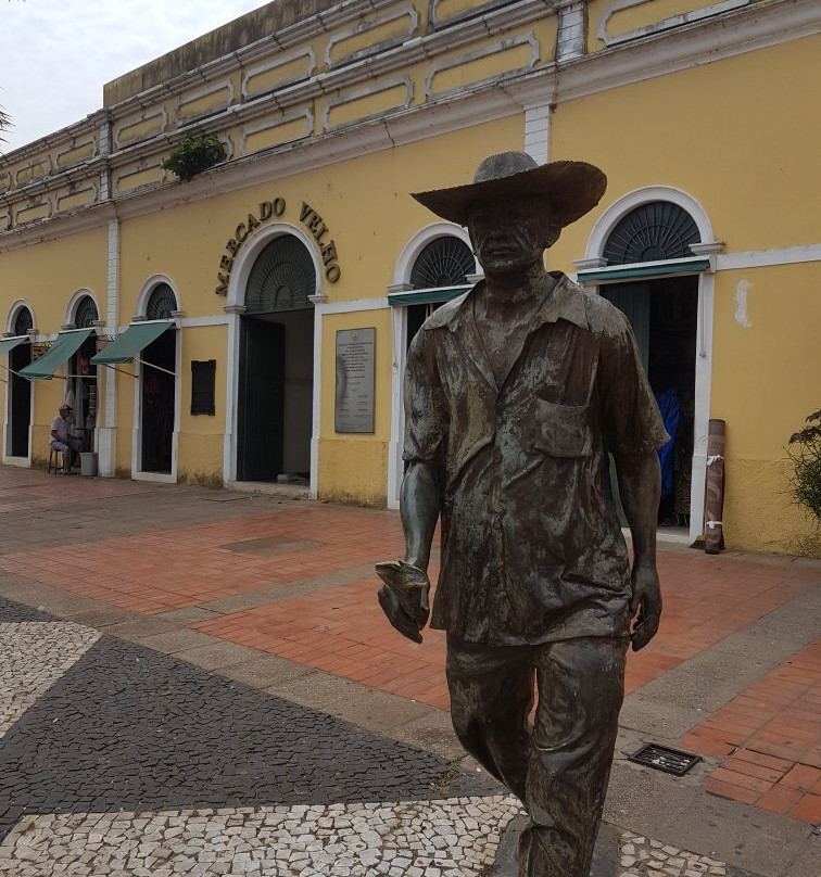 Novo Mercado Velho-Rio Branco必去景点