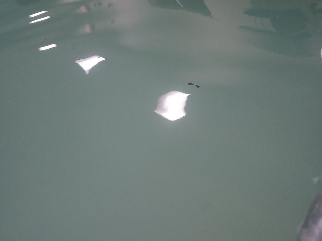 Holiday Inn Express Campbellsville by IHG主图