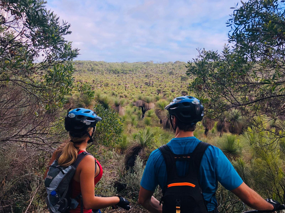 Margaret River Mountain Bike Tours景点图片