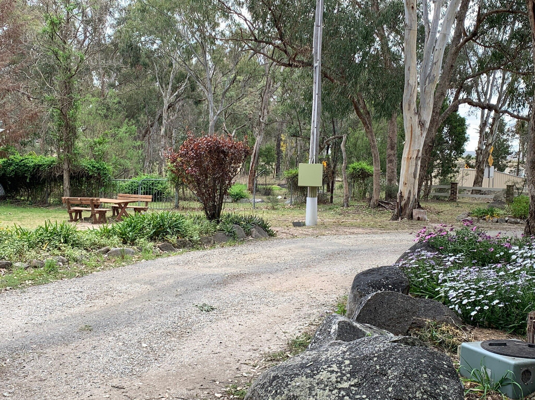 金银花别墅主图