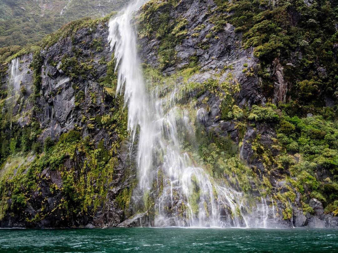 Excursions guidées à Dunedin, atelier photo et séjours thématiques en NZ-但尼丁必去景点