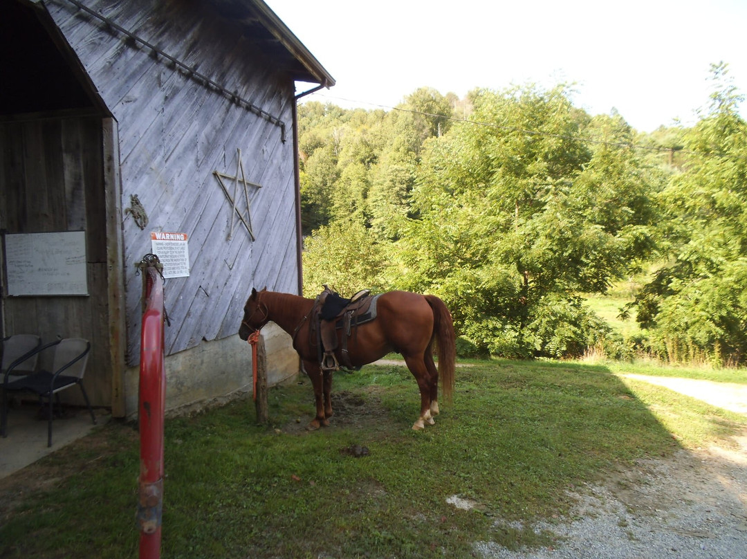 Roan Mountain Riding Company景点图片