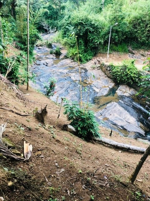 Bogoda Wooden Bridge-Badulla必去景点