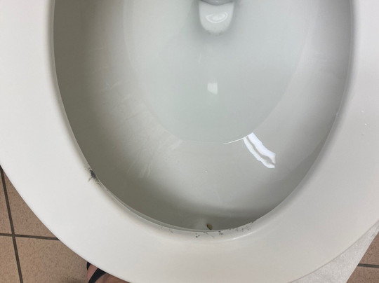 Microtel Inn & Suites by Wyndham Lodi/North Stockton主图