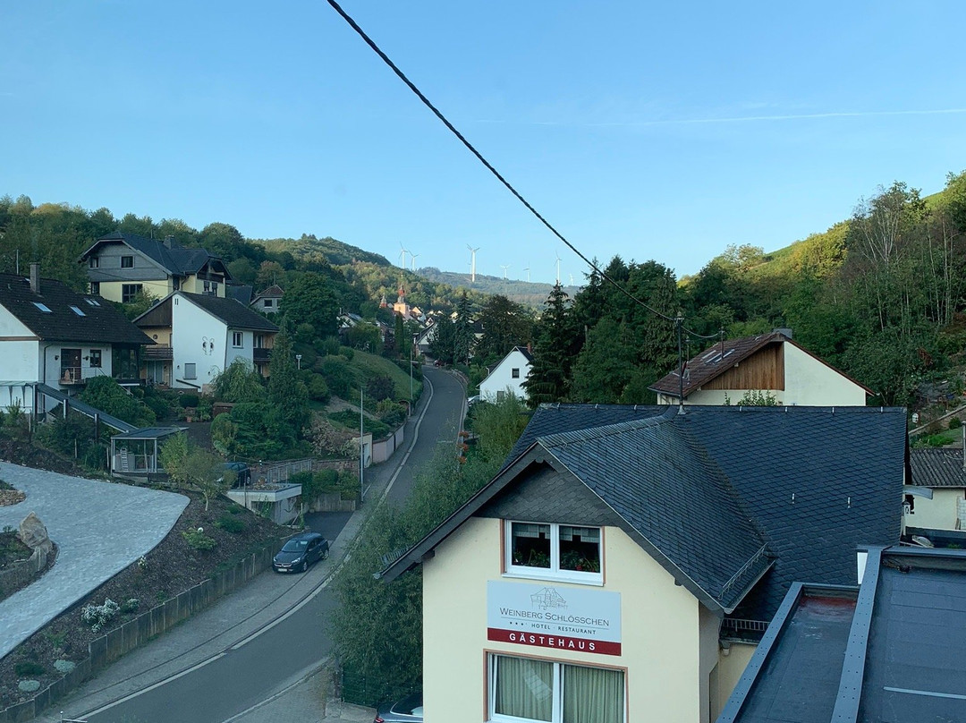 Hotel Weinberg-Schlosschen主图