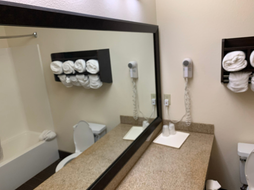 Comfort Suites Stevensville - St. Joseph主图