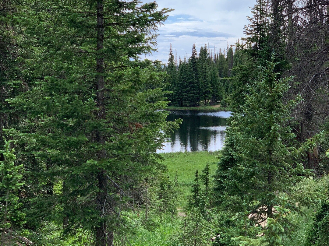 Lake Irene景点图片