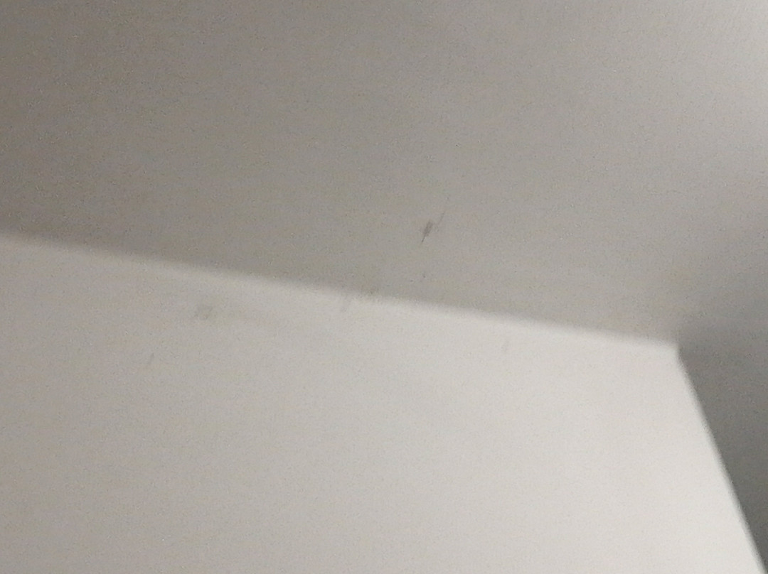 Hotel Ali sul Lago主图