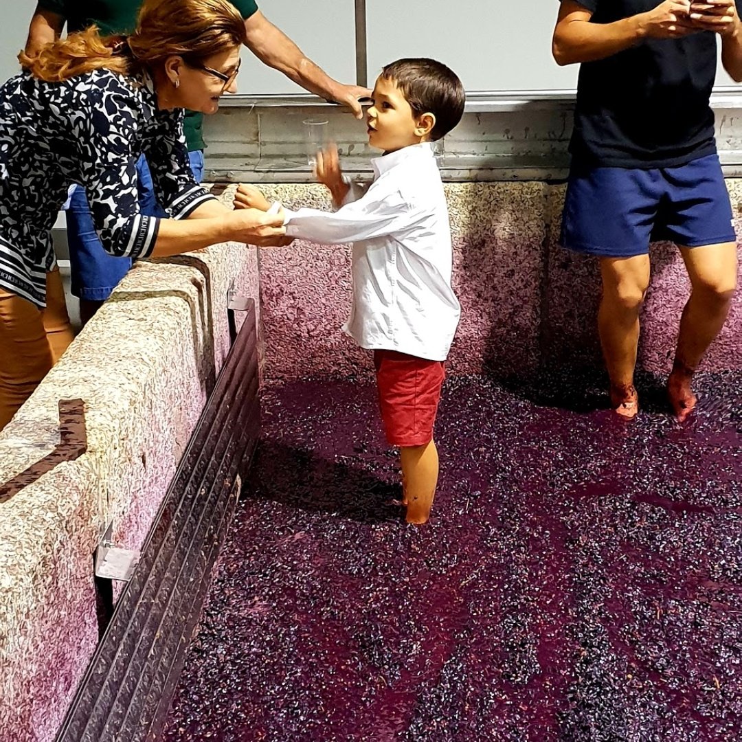 Quinta de la Rosa-portrait