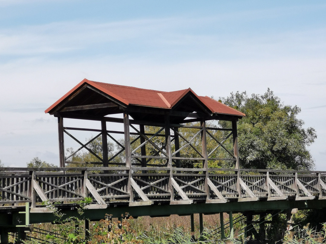 Brucke von Andau景点图片