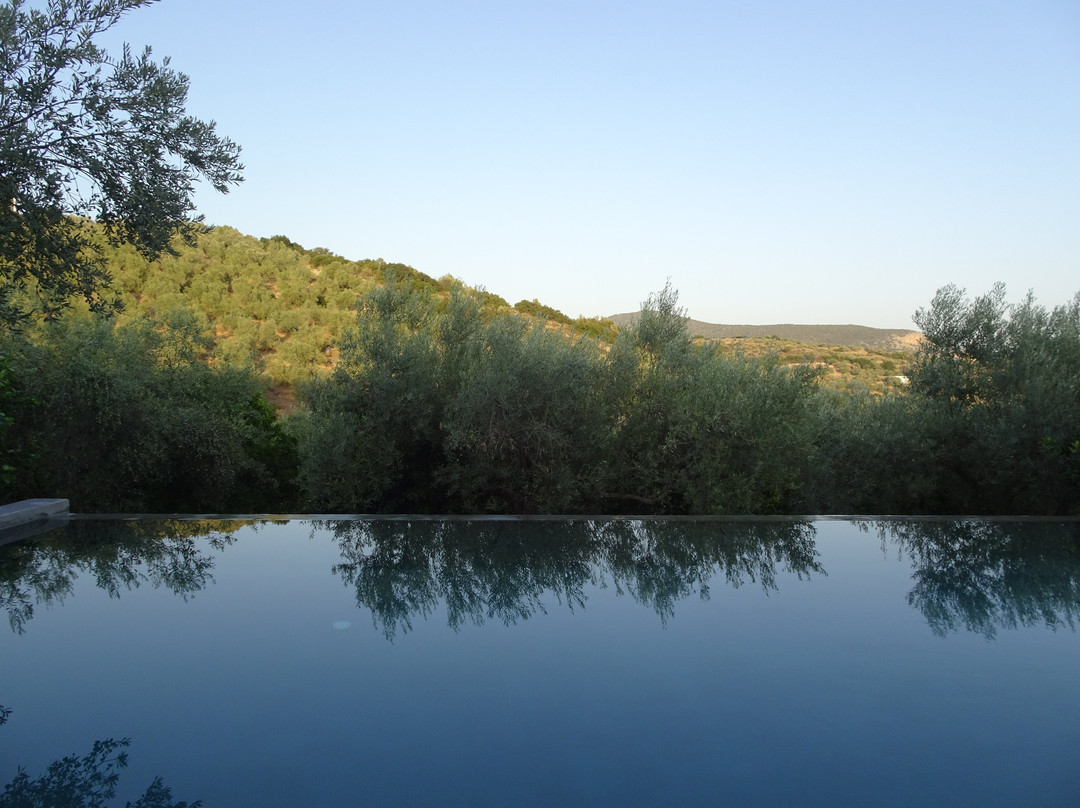 Opora Country Living主图