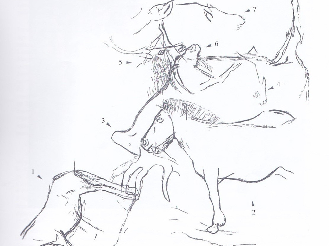 Grottes du Chaffaud-Savigne必去景点