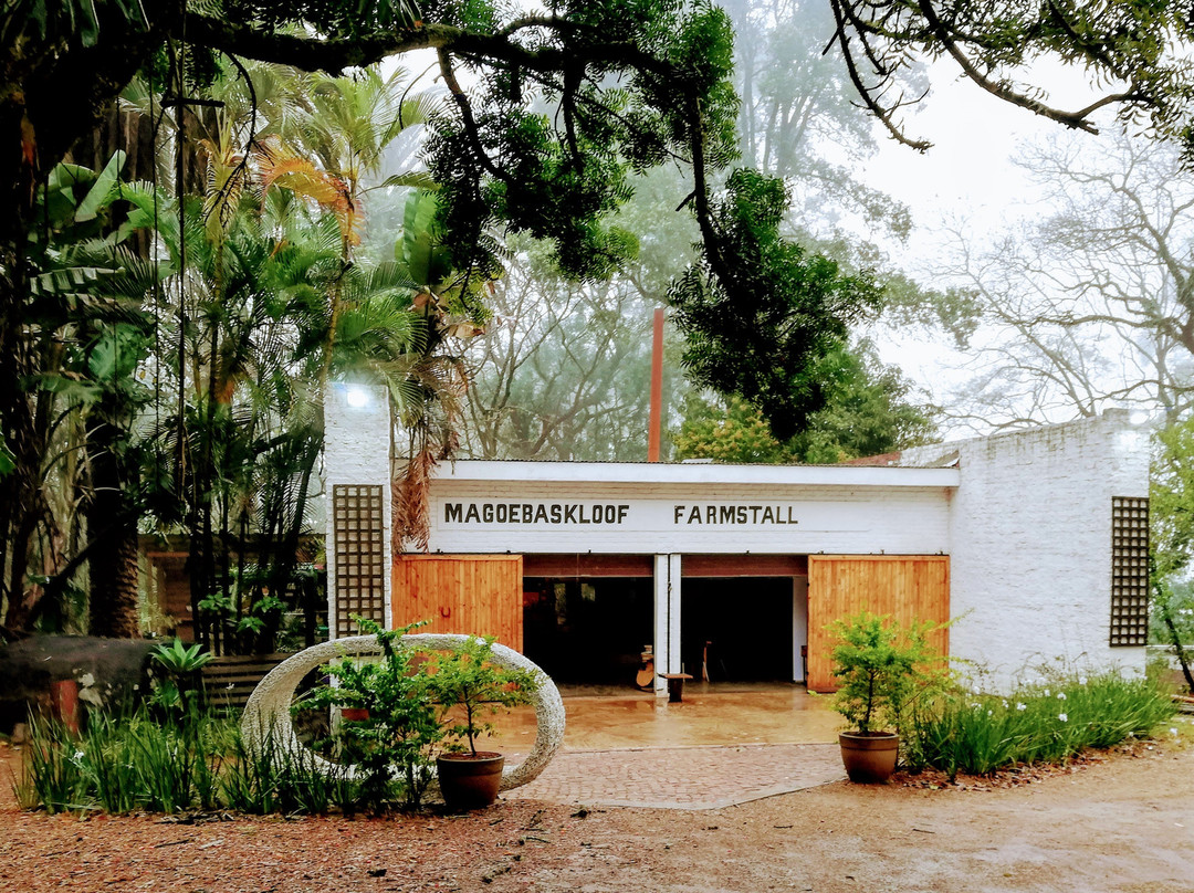 Limpopo Province旅游景点-Maboesbaskloof Farmstall