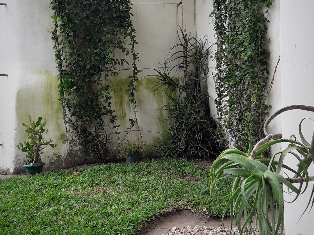 Jardim dos Aloes - Unique B&B, Casa de Charme主图