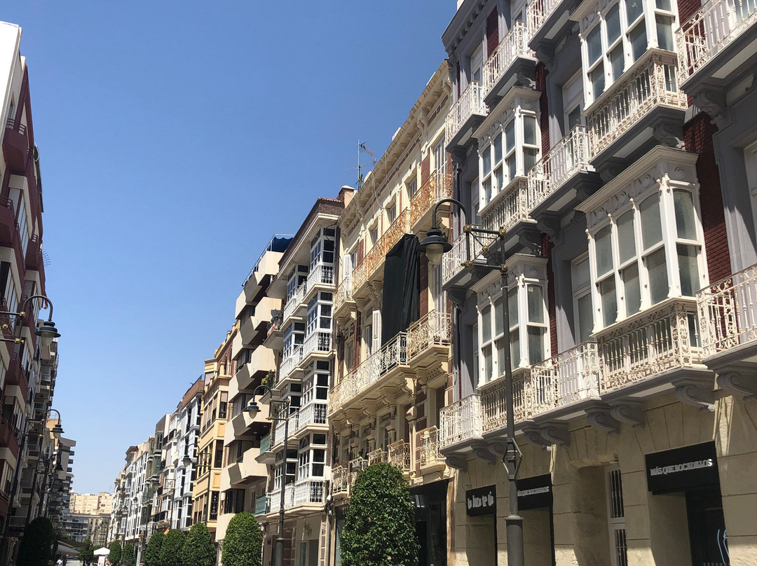 Calle Mayor景点图片