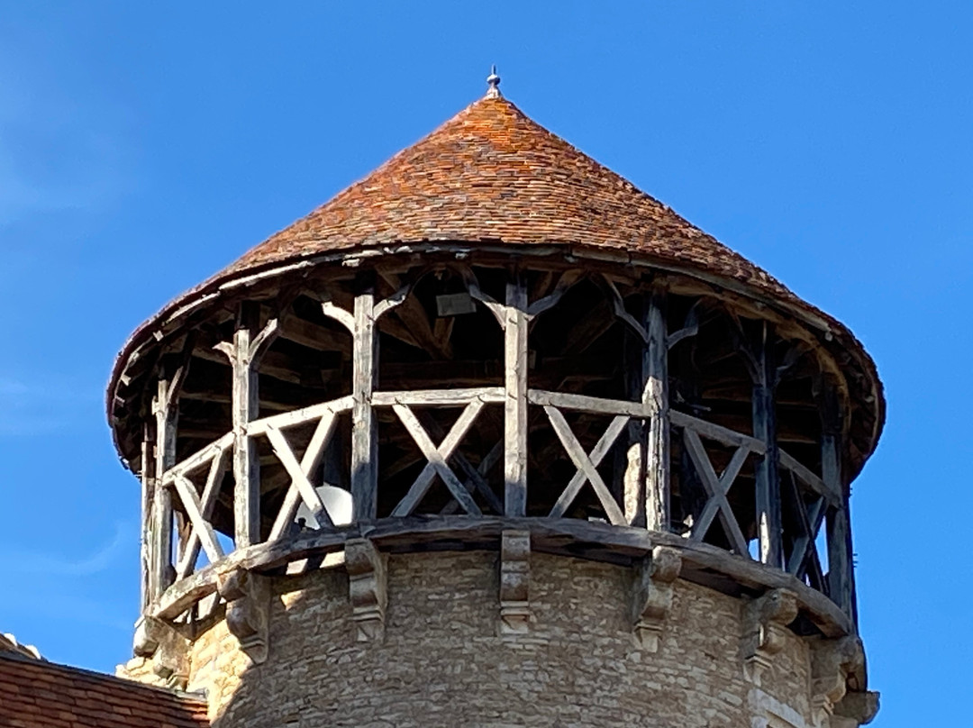 Chateau de Sercy景点图片