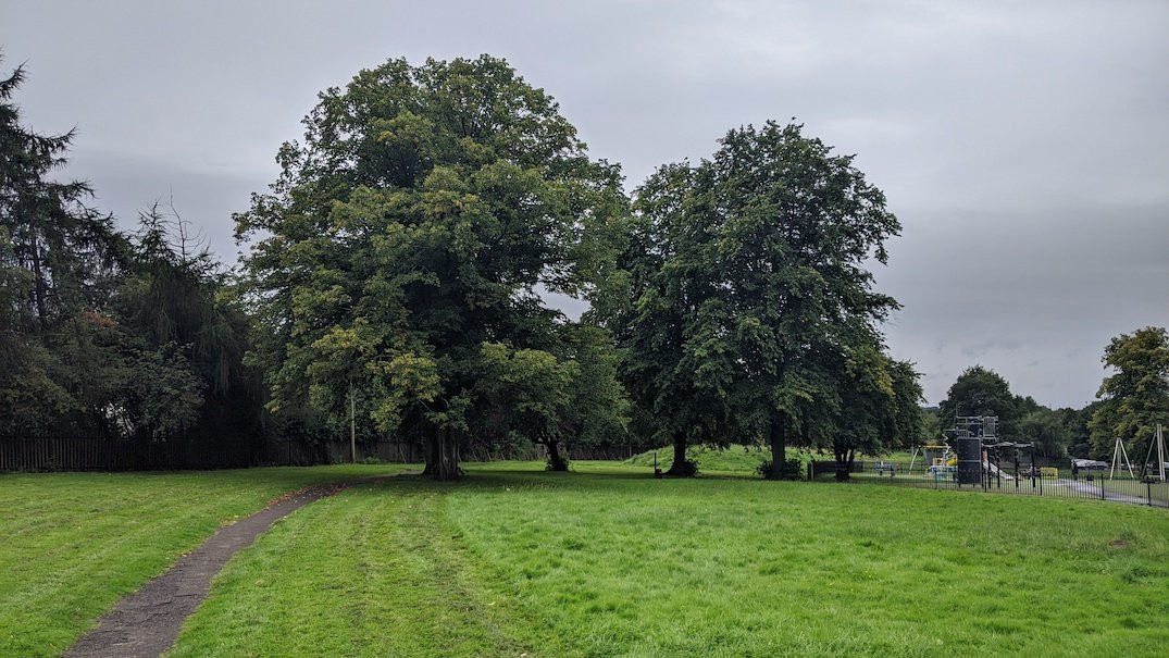 Bothwell Road Park景点图片
