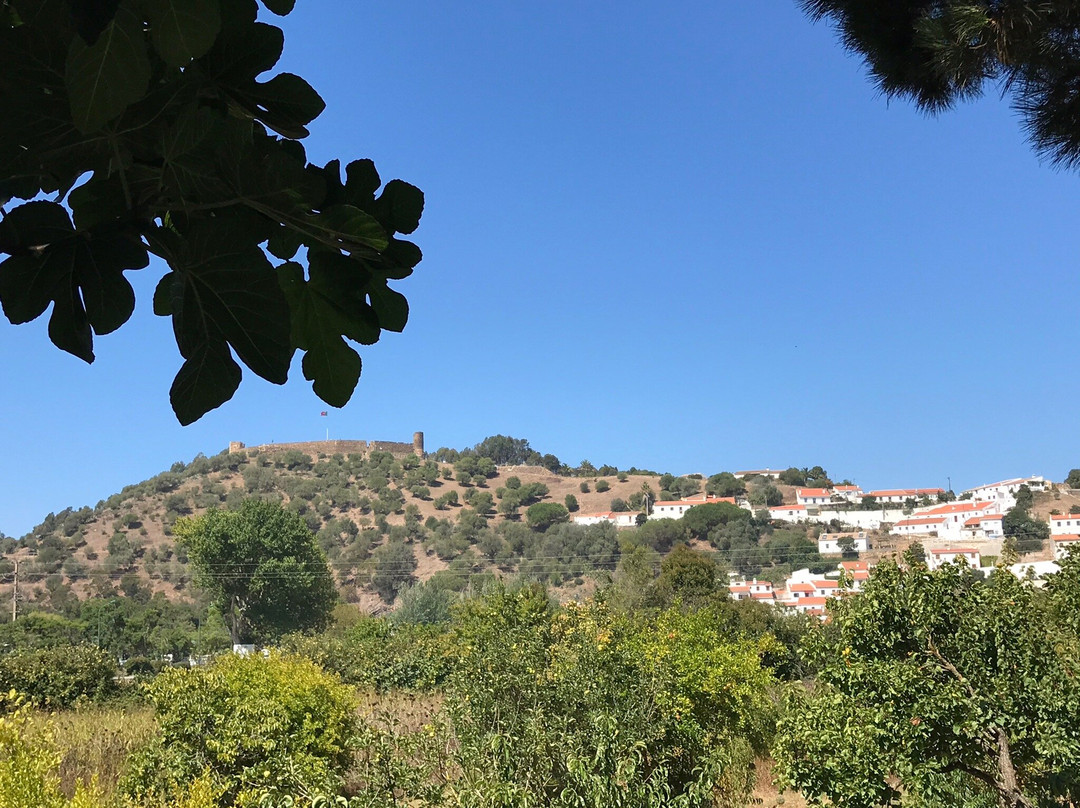 Onda Vicentina主图