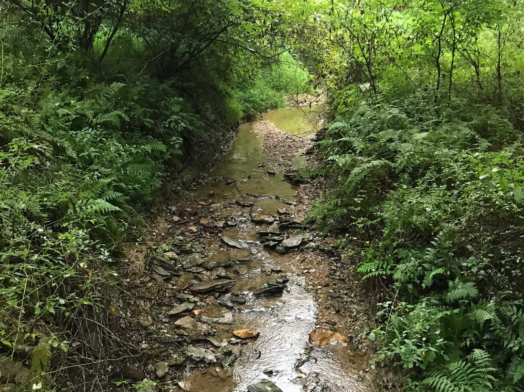 Rocks State Park-Jarrettsville必去景点