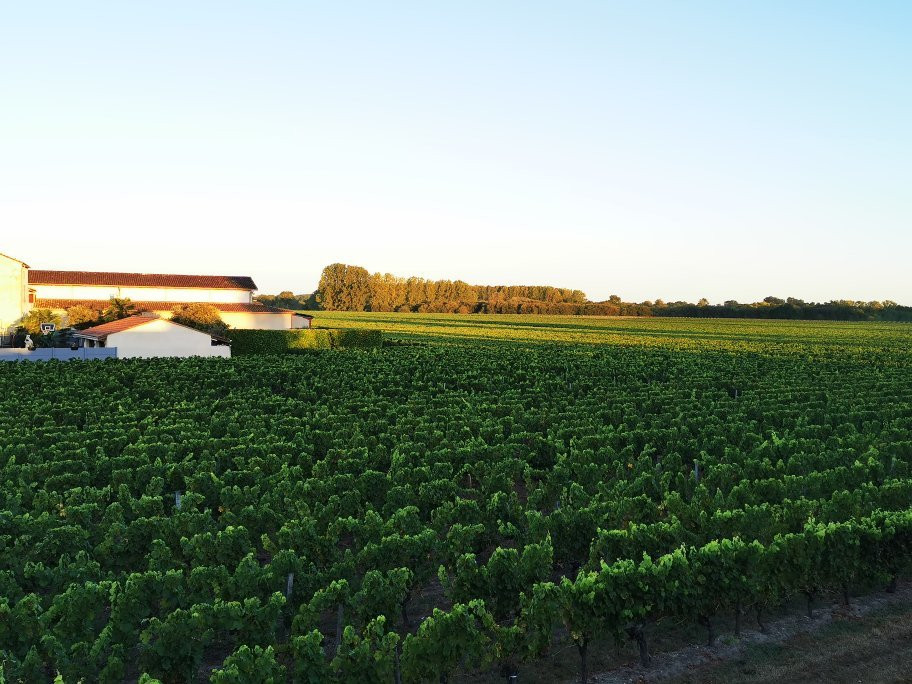 Bed & Breakfast Cabadentra Saint-Emilion主图