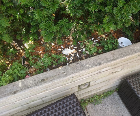 Homewood Suites By Hilton Halifax-downtown主图