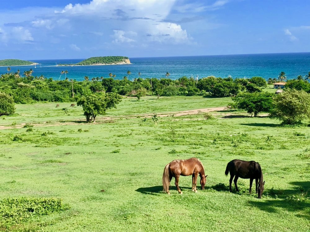 Hacienda Tamarindo主图