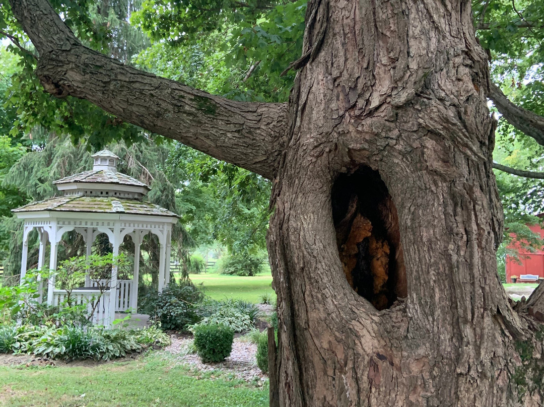 Maple Hill Manor Bed & Breakfast主图