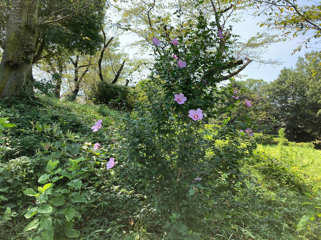 Former Site of Kijigaoka Castle-本庄市必去景点
