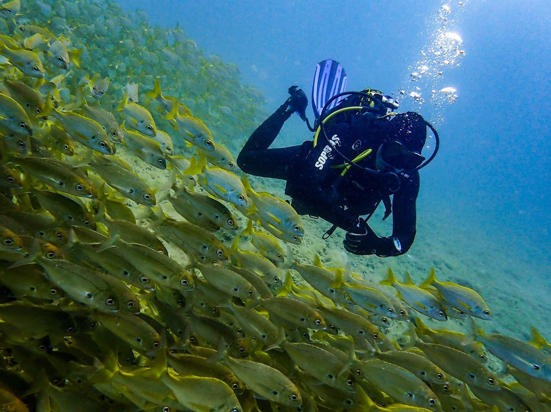 Buceo Pandora-Playa de Arinaga必去景点