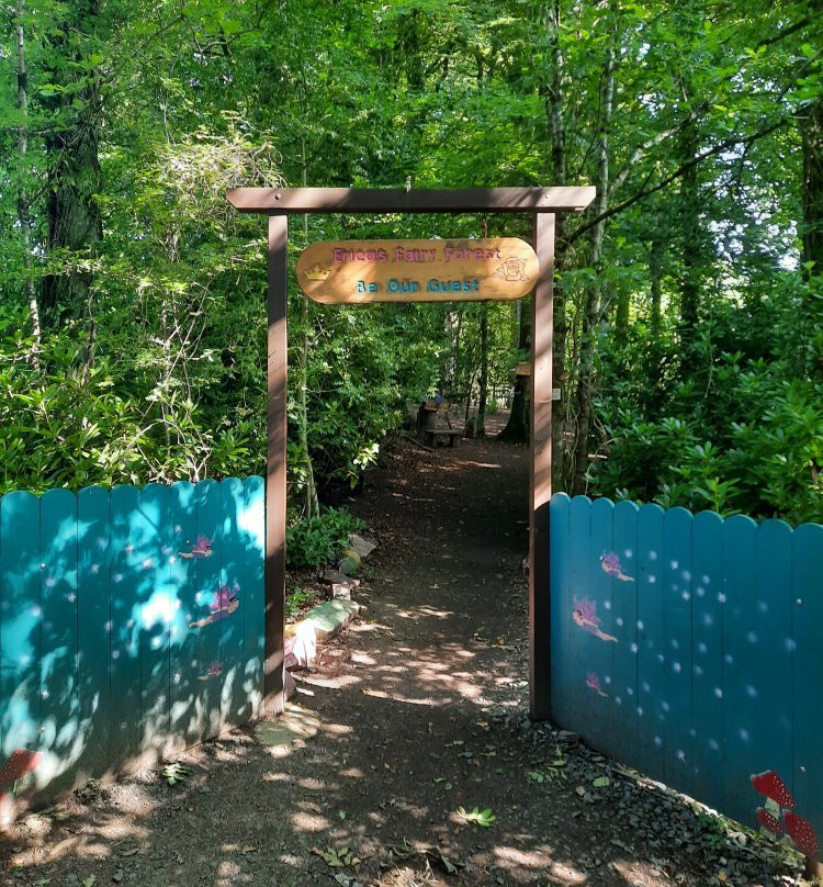 Erica's Fairy Forest-Cootehill必去景点