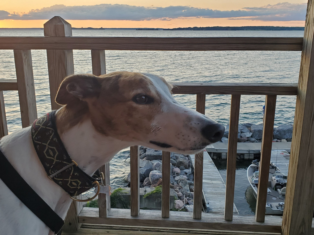 West Winds Motel & Cottages主图