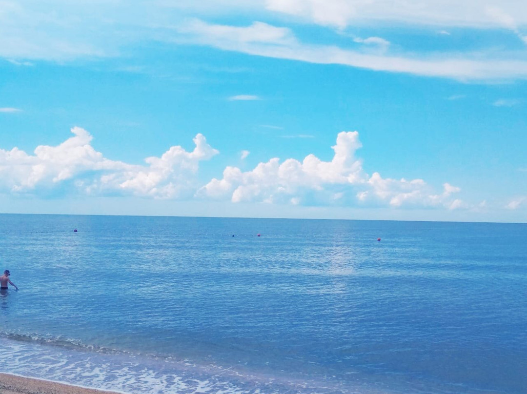 Central Beach景点图片