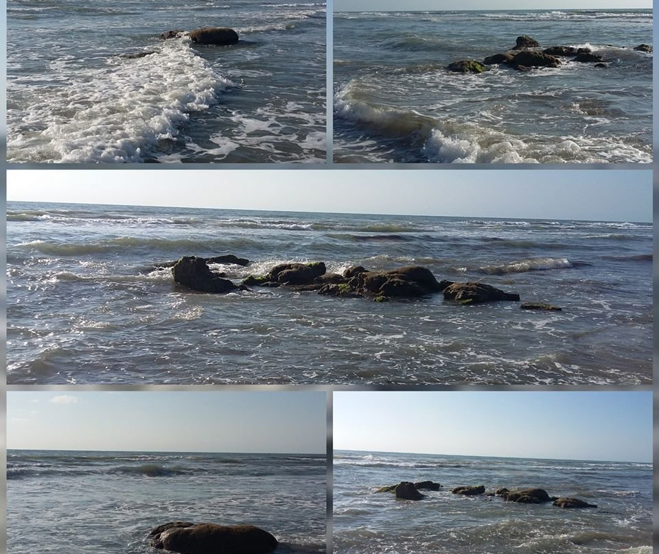 Pelican Beach Park景点图片