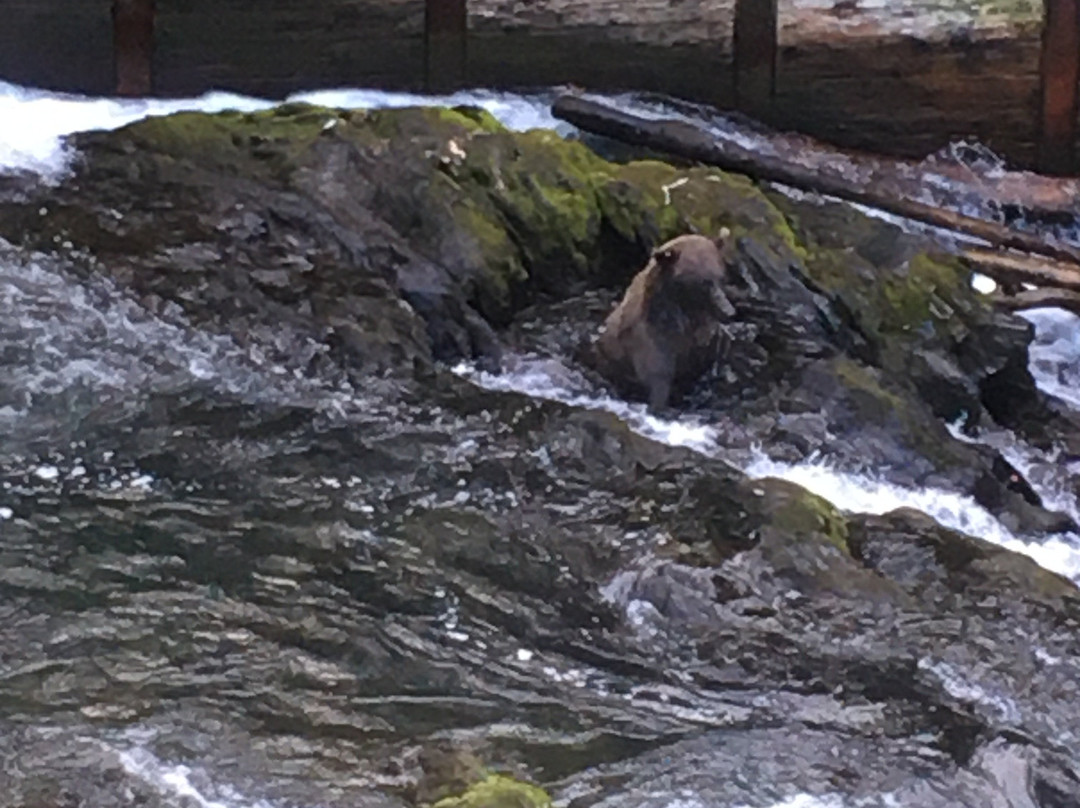 Russian River Falls-Cooper Landing必去景点