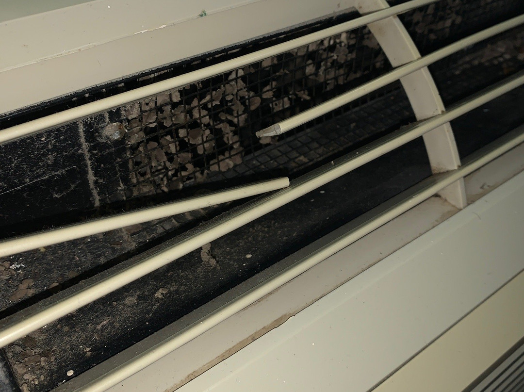 Comfort Inn & Suites Atoka-Millington主图